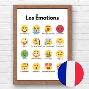French Emotions Poster Art, French Wall Decor, Bilingual Homeschooling, Montessori Learning, French Classroom, US Letter & A4