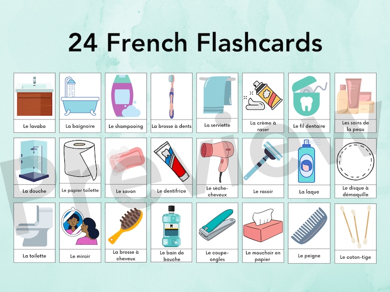 French Washroom Flashcards French Bathroom Vocabulary Etsy