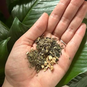 May include: A close-up of a hand holding a mixture of dried herbs and spices. The mixture includes green herbs, brown spices, and small pieces of dried ginger.