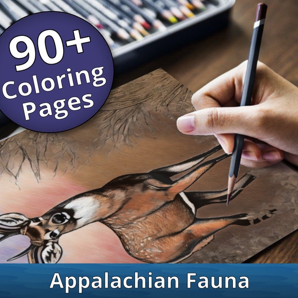Appalachian Coloring Book - Etsy
