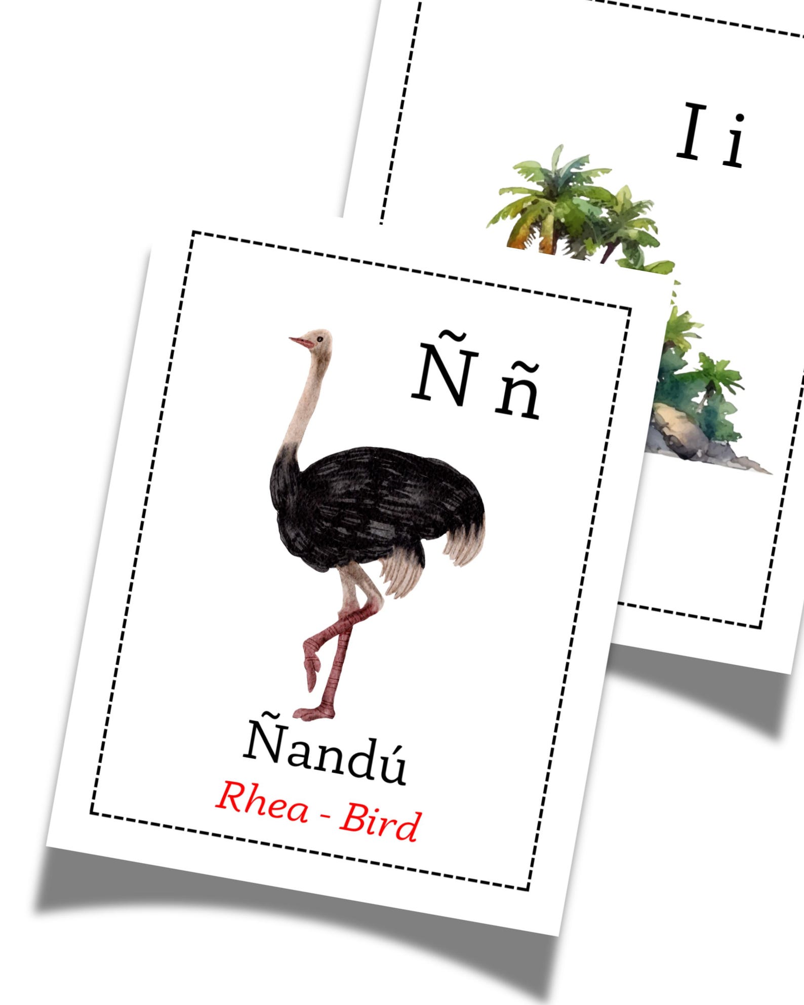 Spanish Alphabet Flash Cards for Kids | Printable ABC Flashcards in ...