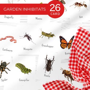 Garden Inhabitants Flash Cards for Kids | Printable Flashcards with Insects & Animals | Nature Learning PDF | Digital Download