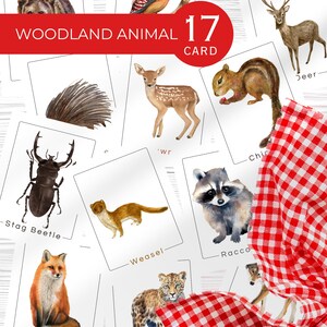 Printable Woodland Animal Flashcards for Kids | Montessori Forest Animal Learning Cards | Educational Toddler Nature Set for Homeschool