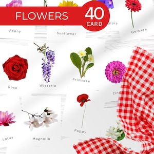 Cartes flash fleurs pour enfants | Ensemble de vocabulaire ESL Nature imprimable | Apprenez des noms de fleurs pour la maternelle, l'école à la maison et la classe