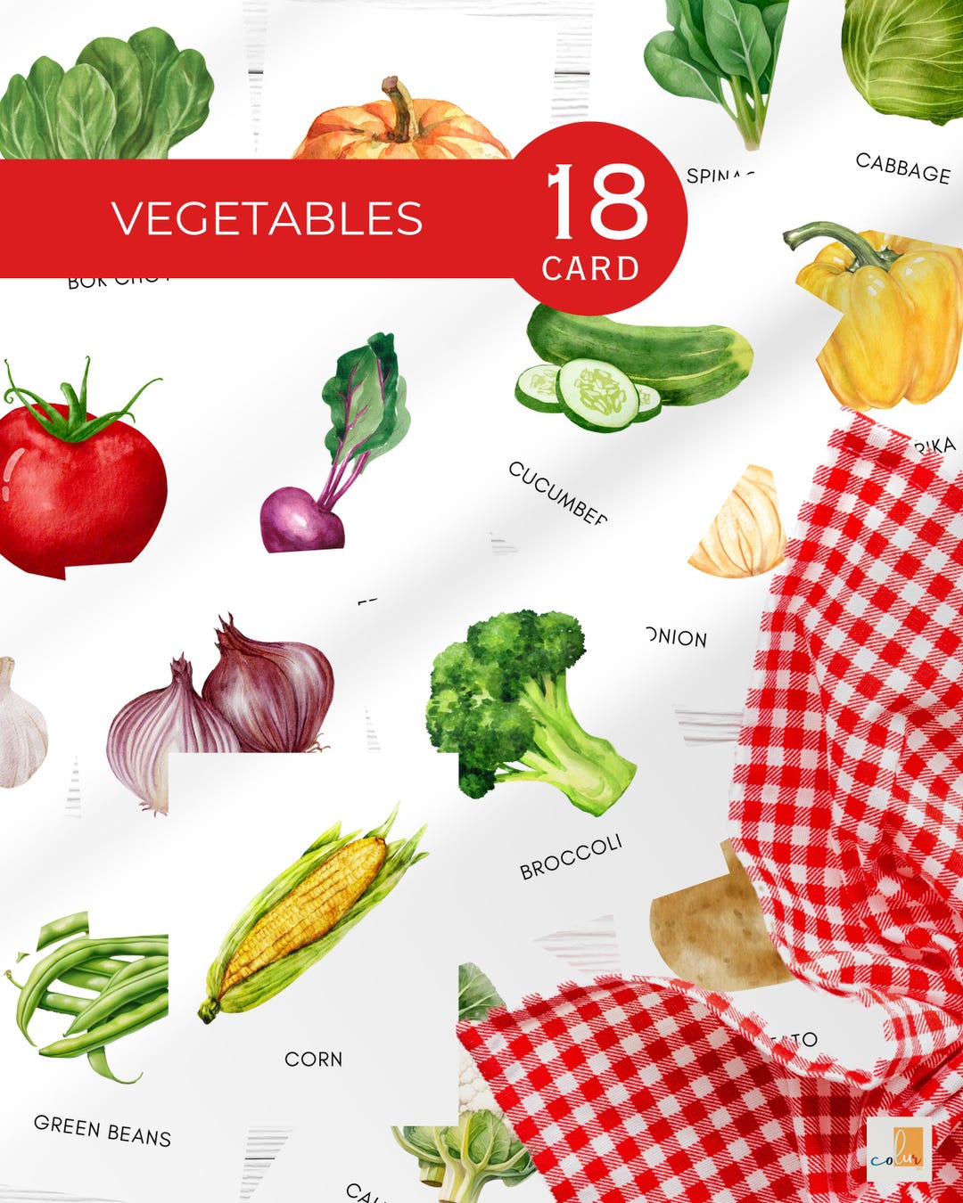 Printable Vegetable Flashcards for Kids | Montessori Learning Cards for ...