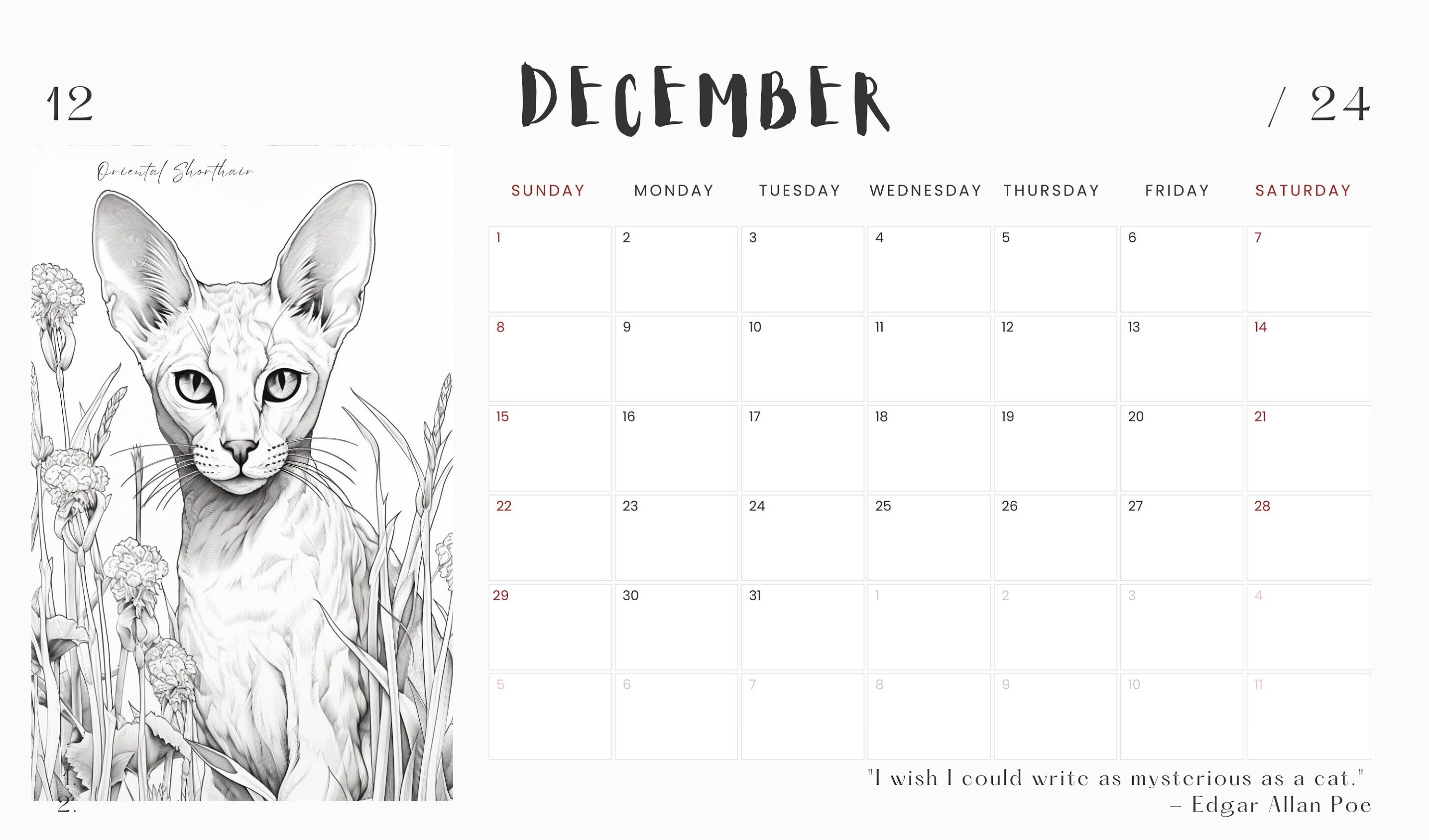 Cat Calendar 2024, Printable Coloring Calendar, Instant Download, Free