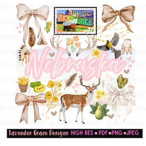 Puede incluir: Un diseño digital con la palabra "Nebraska" en escritura rosa, rodeado de ilustraciones de acuarela de un ciervo, flores, lazos, plumas y una postal vintage que dice "Greetings from Nebraska."