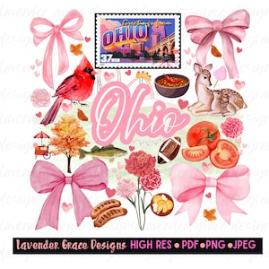 May include: A collage of Ohio-themed illustrations, including a red cardinal, a deer, a football, and a stamp with the text "Greetings from Ohio." Pink bows and the word "Ohio" in pink script are also featured.