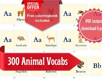 300 Count Animal Flashcards Downloadable