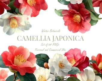 Watercolor Camellia Japonica Clipart | 64 PNG Winter Flowers | Botanical Floral Illustrations for Christmas & Crafts