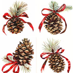 Christmas Pine Cones Clipart Set - 20 PNG Illustrations With ...