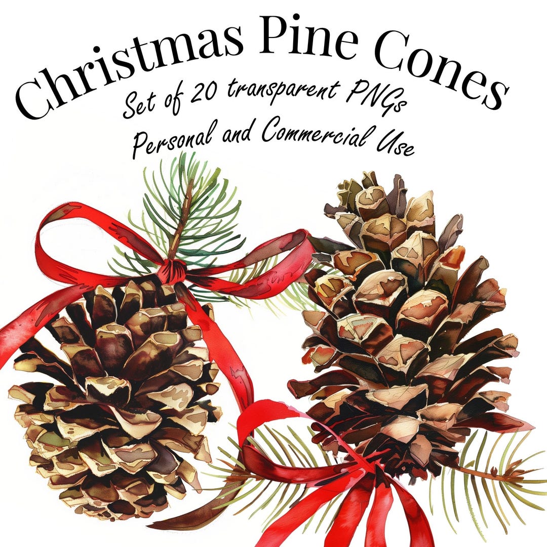 Christmas Pine Cones Clipart Set - 20 PNG Illustrations With ...