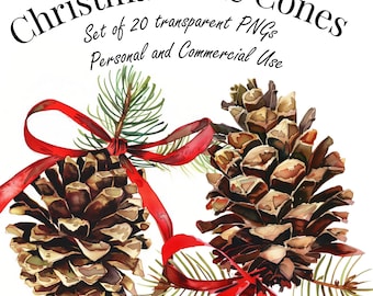 Christmas Pine Cones Clipart Set - 20 PNG Illustrations with Transparent Background - Highres 4000 px