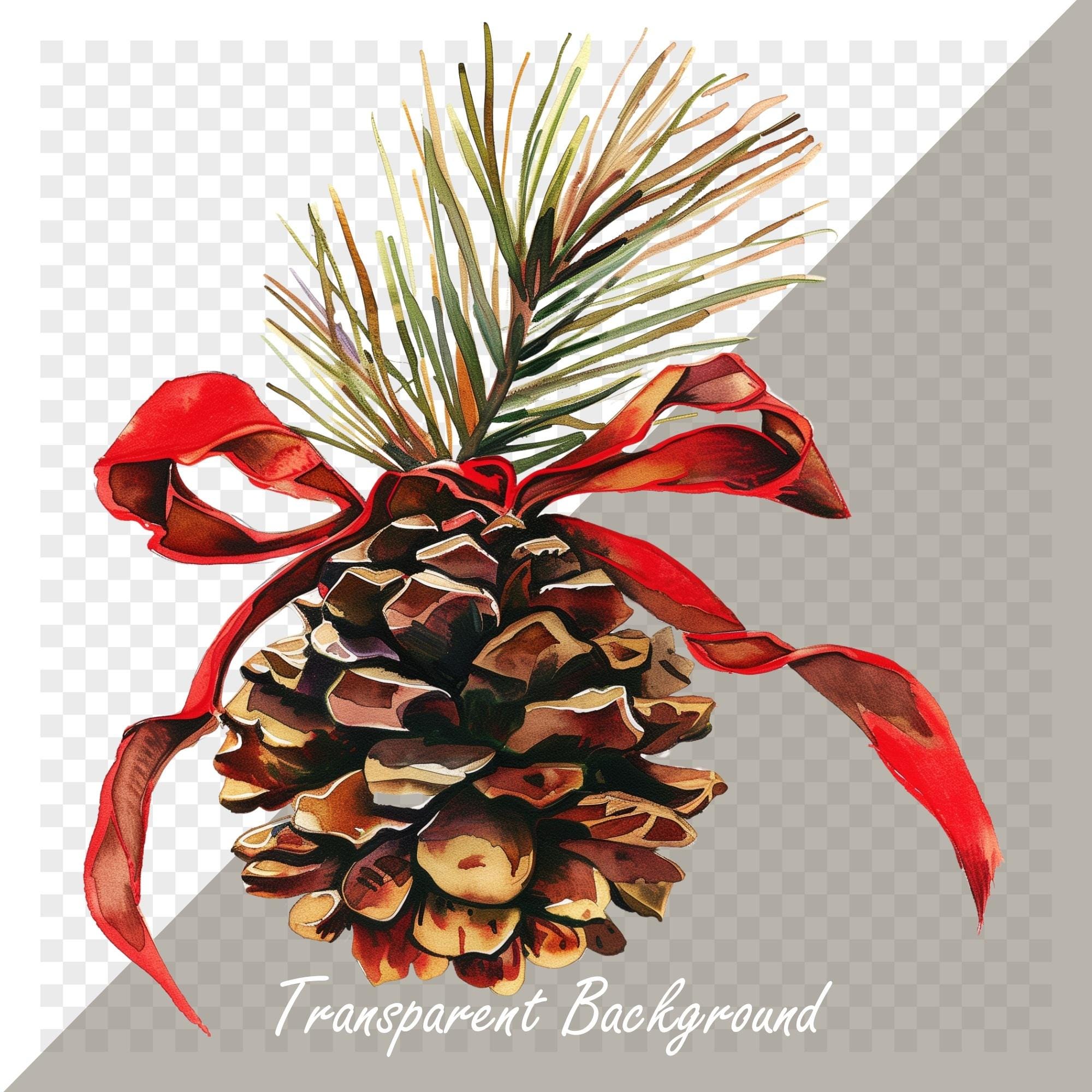 Christmas Pine Cones Clipart Set - 20 PNG Illustrations With ...