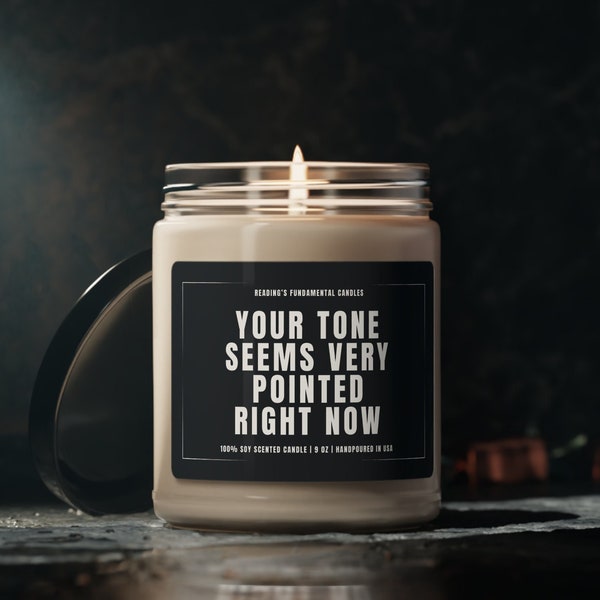 Your Tone Seems Very Pointed Right Now Willam Soy Candle, Rupaul's Drag Race Quote, Catchphrase, Drag Merch, Gay Candle, LGBT, Drag Queen