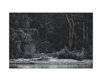 The River, The Woods- Olympic National Park Canvas