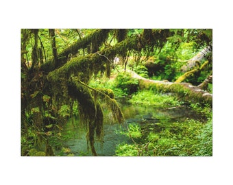 Mossy Hoh River, Hoh Rainforest, Olympic NP- Canvas