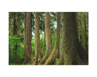 Hoh Rainforest, Olympic NP- Canvas