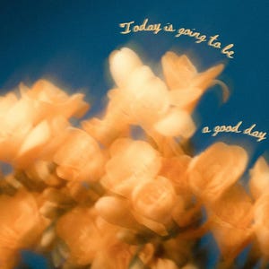 Yellow Flower Motivational Message Phone Wallpaper
