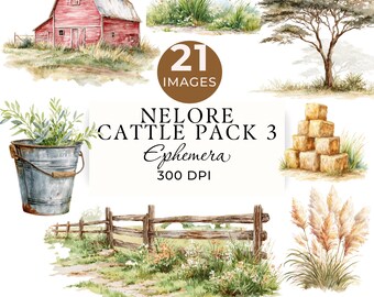 Nelore Cattle Ephemera Clipart, Watercolor farming PNG, 21 Transparent Images