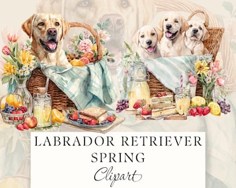 Labrador Retriever with Flowers Clipart, Floral Dog Breed Watercolor, 17 Transparent PNGs