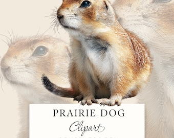 Prairie Dog Clipart, Black Tailed Wildlife Animal PNG, 6 Transparent Images