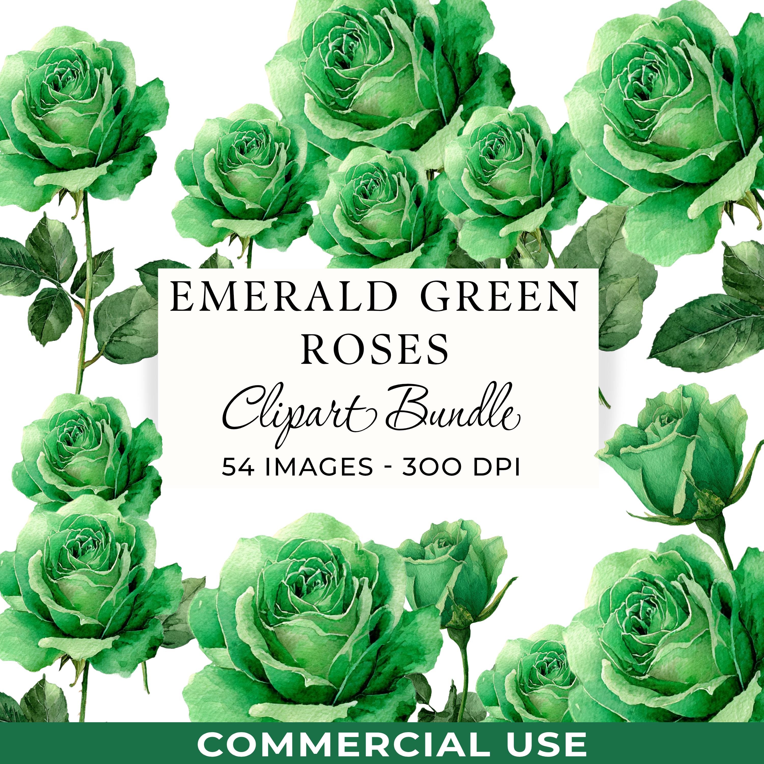 Emerald Green Roses Clipart, 54 Watercolor Floral PNG & JPG Digital ...