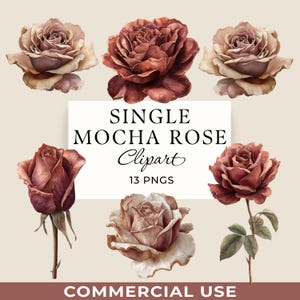 Clipart enkele mokka-roos, aquarel bruine bloem, 10 png-bestanden, commercieel gebruik, download