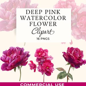 Fuchsia Watercolor Flower Clipart, Deep Pink Floral PNG, 16 Transparent Images