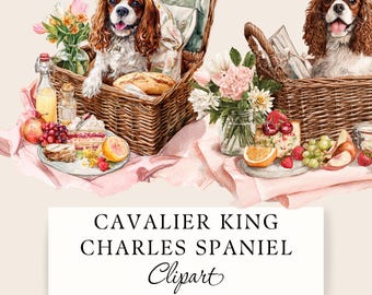 Cavalier King Charles Spaniel Clipart, Dog in a Picnic Basket PNG, 7 Transparent Images