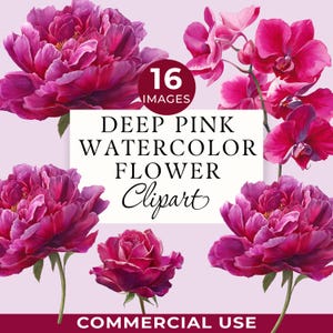 Clipart de flor de acuarela fucsia, PNG floral rosa intenso, 16 imágenes transparentes