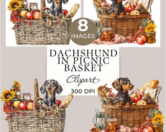 Dachshund in a Picnic Basket Clipart, Small Sausage Dog Watercolor, 8 Images PNG & JPG