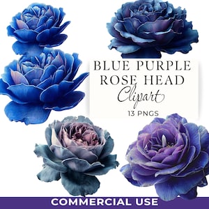 May include: A collection of blue and purple rose head clipart images. The images include various shades of blue and purple roses. Text on the image reads "BLUE PURPLE ROSE HEAD Clipart 13 PNGS COMMERCIAL USE."