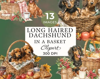 Long Haired Dachshund Dog in a Basket Clipart, Watercolor Sausage Dog, 13 Images