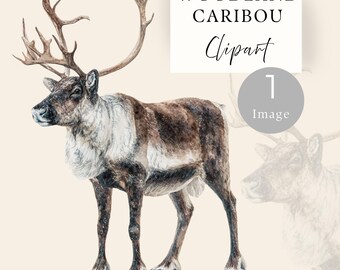Woodland Caribou Clipart, Animal Watercolor Printable Art, One Single PNG Image