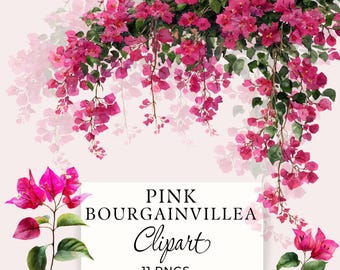 Pink Bougainvillea Clipart, Mediterranean Floral PNGs, 11 Transparent Images