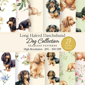May include: A digital collection of seamless patterns featuring watercolour illustrations of long-haired dachshunds in black, tan, and cream colours, interspersed with floral motifs. The text reads Long Haired Daschshund Dog Collection.