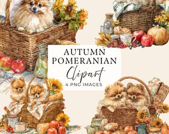 Pomeranian Dog Clipart, Autumn Small Dog PNGs, 4 Transparent Images
