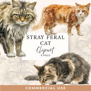 May include: Watercolor clipart featuring three stray feral cats in various poses. The cats have detailed fur in shades of brown, orange, and gray. Text on the image reads "Stray Feral Cat Clipart" and "Commercial Use".