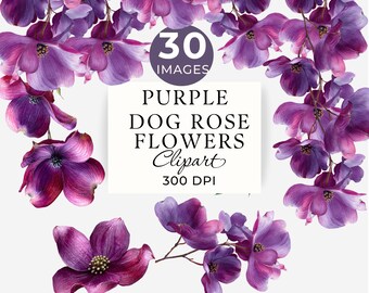 ドッグローズの花のクリップアート、紫色の花のクラスターPNG、ウェディングジャーナルの商用画像30点