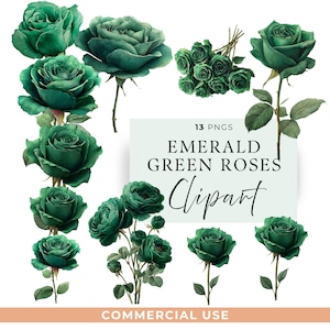 Emerald Green Rose Clipart, Watercolor Green Roses Png, Wedding Floral PNG, Bouquets & Floral designs for Crafts Download, Commercial Use