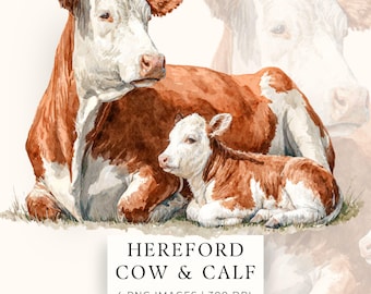 Hereford Cows Clip Art, Watercolor Cow & Calf PNG, 4 Transparent Images