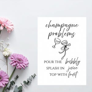 May include: A white print with the words "champagne problems" in a script font, along with a line drawing of two champagne glasses. The text below reads "Pour the bubbly, splash in juice, top with fruit."