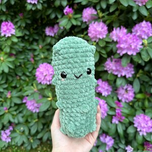 Crochet Pickle