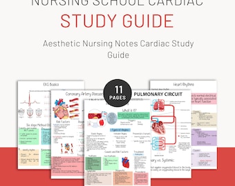 Cardiac Bundle | 11 Pages