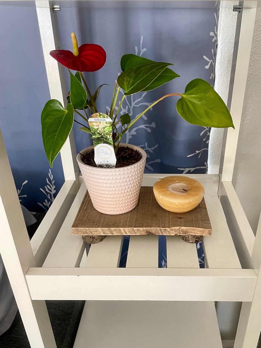 Wood Riser, Plant Stand, Countertop Tray, Wood Tray, Vanity Stand, Sink ...