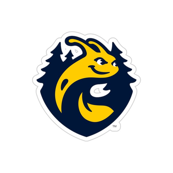 Santa Cruz Stickers - Etsy