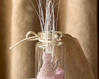 Collezione di baffi di gatto / Espositore / Barattolo dei ricordi