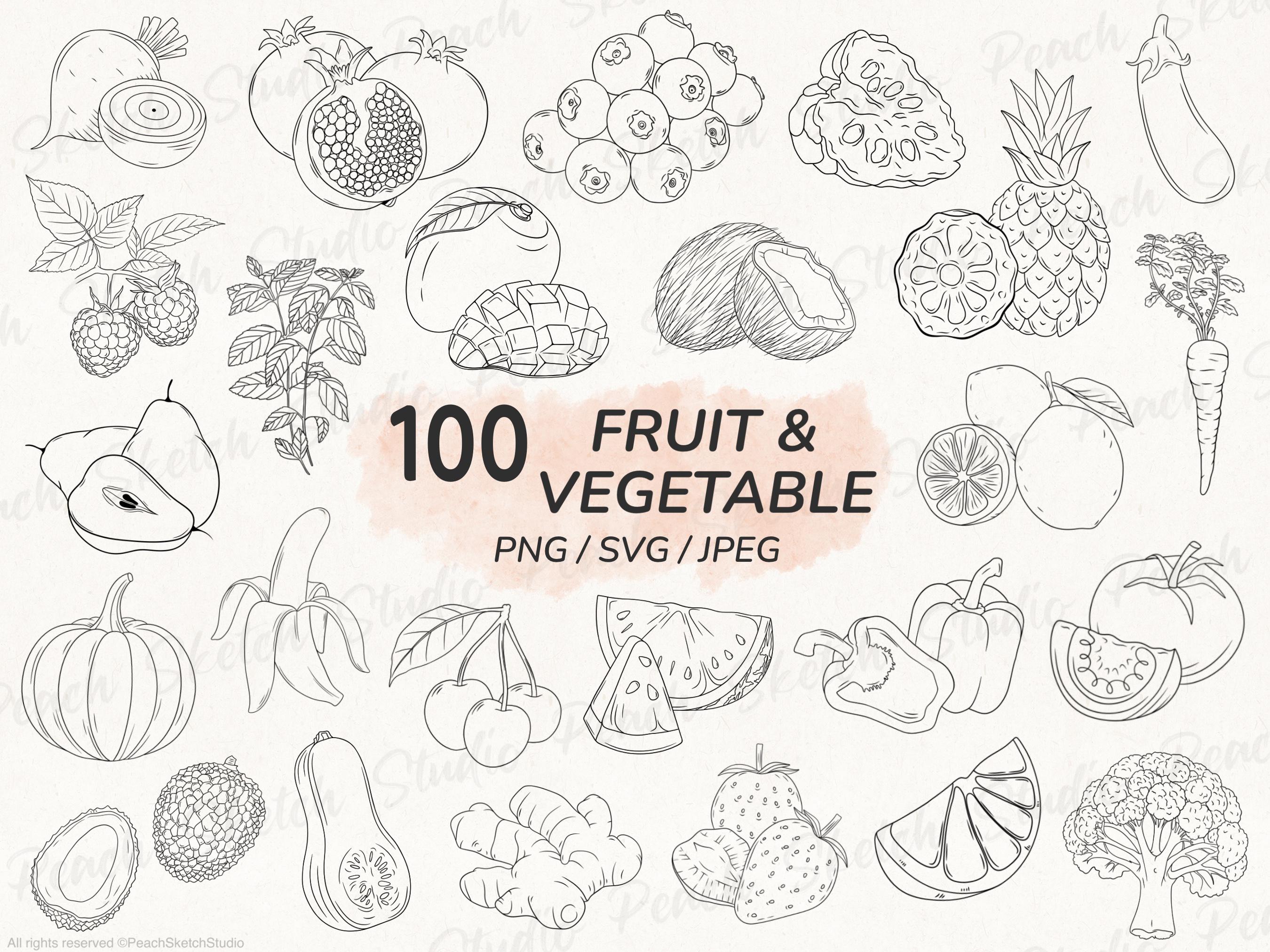 100 Fruit \u0026 Vegetable PNG SVG JPEG Line Art Illustrations, Hand Drawn Fruit  Vector Clipart (digital Download) - Etsy, image size:2700x2025
