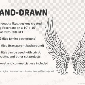 Information image stating, high quality and hand drawn designs created  using Procreate on a 10’x10’ canvas with 300dpi. JPEG’s have a white background, PNG’s have a transparent background,  SVG files are compatible with Cricut, Silhouette, and other cutting machines. One of the wing designs is shown in full with an example of the transparent background.